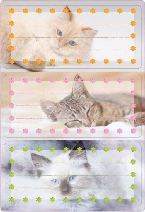 La scuola HERMA etichetta i gatti-1