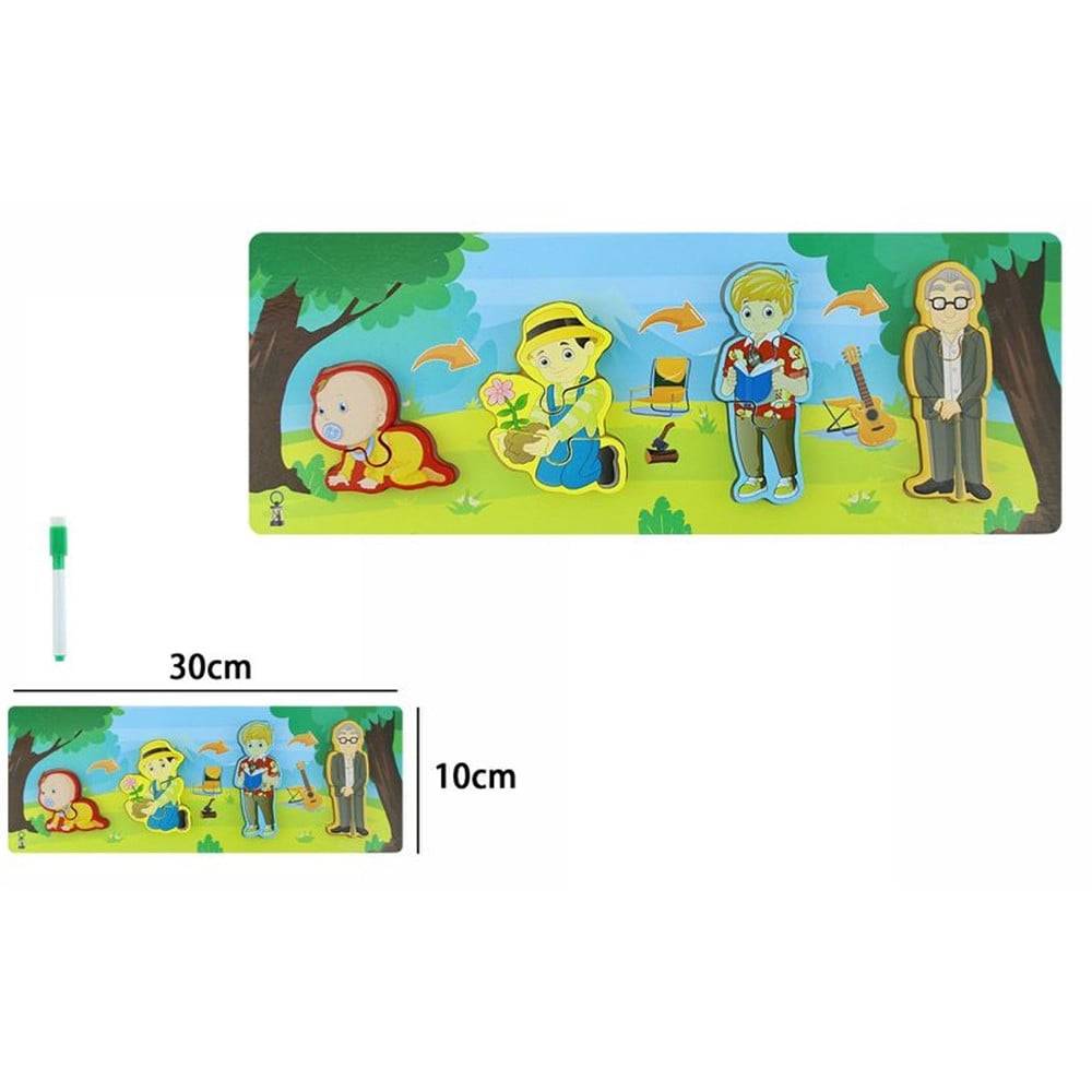 Lavagna Puzzle In Legno A Incastro Ciclo Crescita Uomo Gioco Educativo Bambini 74998 --3