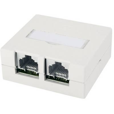 Due prese di rete RJ45 in un alloggiamento bianco rettangolare; idonee al montaggio a parete per connessioni Ethernet.