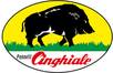 Cinghiale