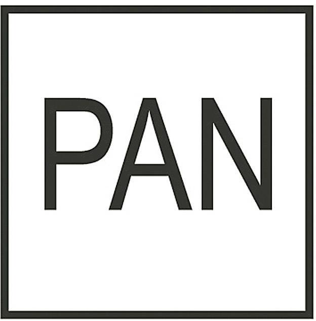 Questa immagine mostra la parola 'PAN' in lettere maiuscole nere su sfondo bianco.