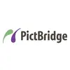 Logo 'PictBridge' con un elemento grafico verde e viola a sinistra del testo.