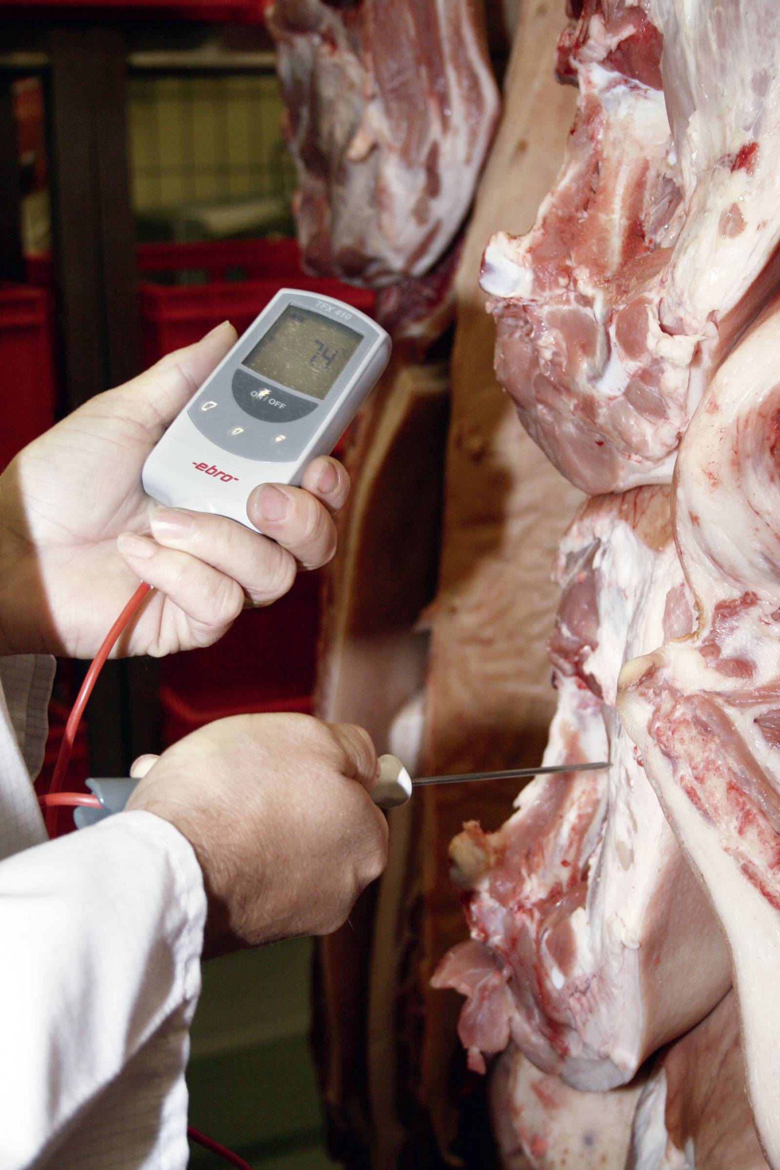 Een persoon meet met een thermometer de temperatuur van een groot stuk vlees. Het display toont '7,4°C'.