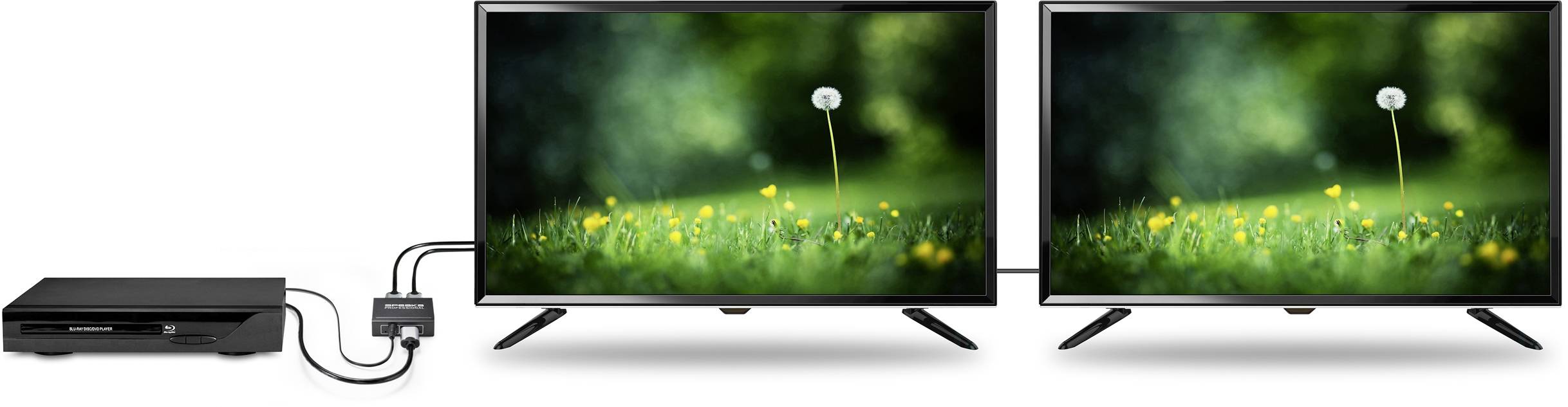 Twee monitoren tonen een identiek groen natuurtafereel met bloemen en paardenbloemen. Een apparaat links verbindt zich via kabels met de monitoren.