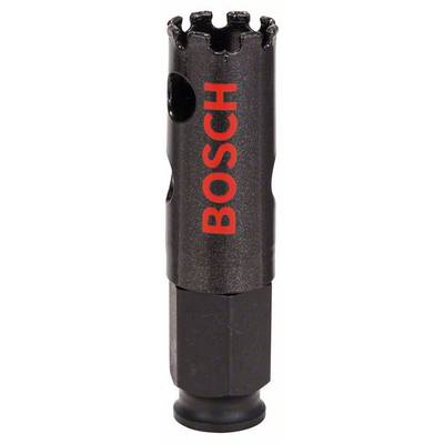 Bosch Accessories Bosch 2608580302 Gatenzaag  20 mm Diamant uitgerust 1 stuk(s)