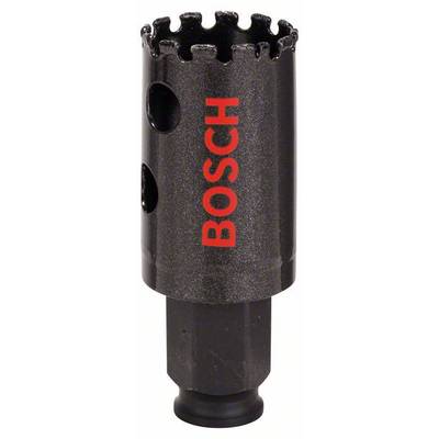 Bosch Accessories Bosch 2608580305 Gatenzaag  29 mm Diamant uitgerust 1 stuk(s)