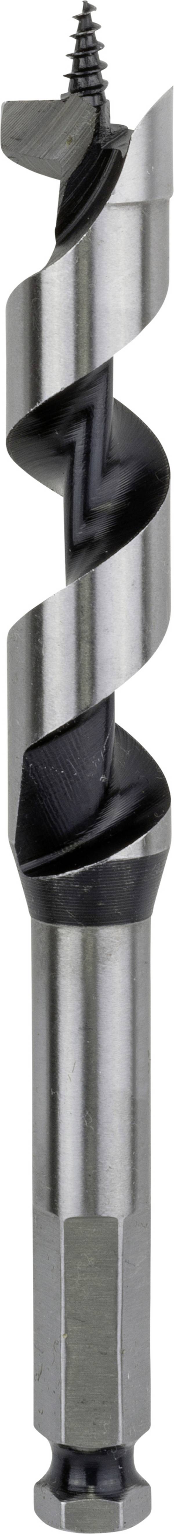 Bosch Accessories 2608585704 Slangenboor 18 mm Gezamenlijke lengte 160 mm Zeskant schacht 1 stuk(s)