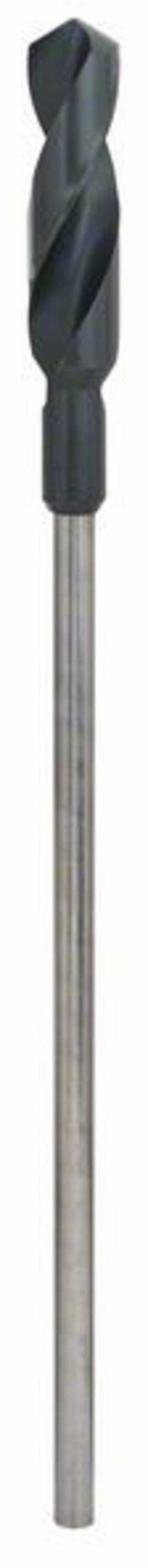 Bosch Accessories 2608597168 Bekistingsboor  24 mm Gezamenlijke lengte 400 mm Cilinderschacht 1 stuk(s)