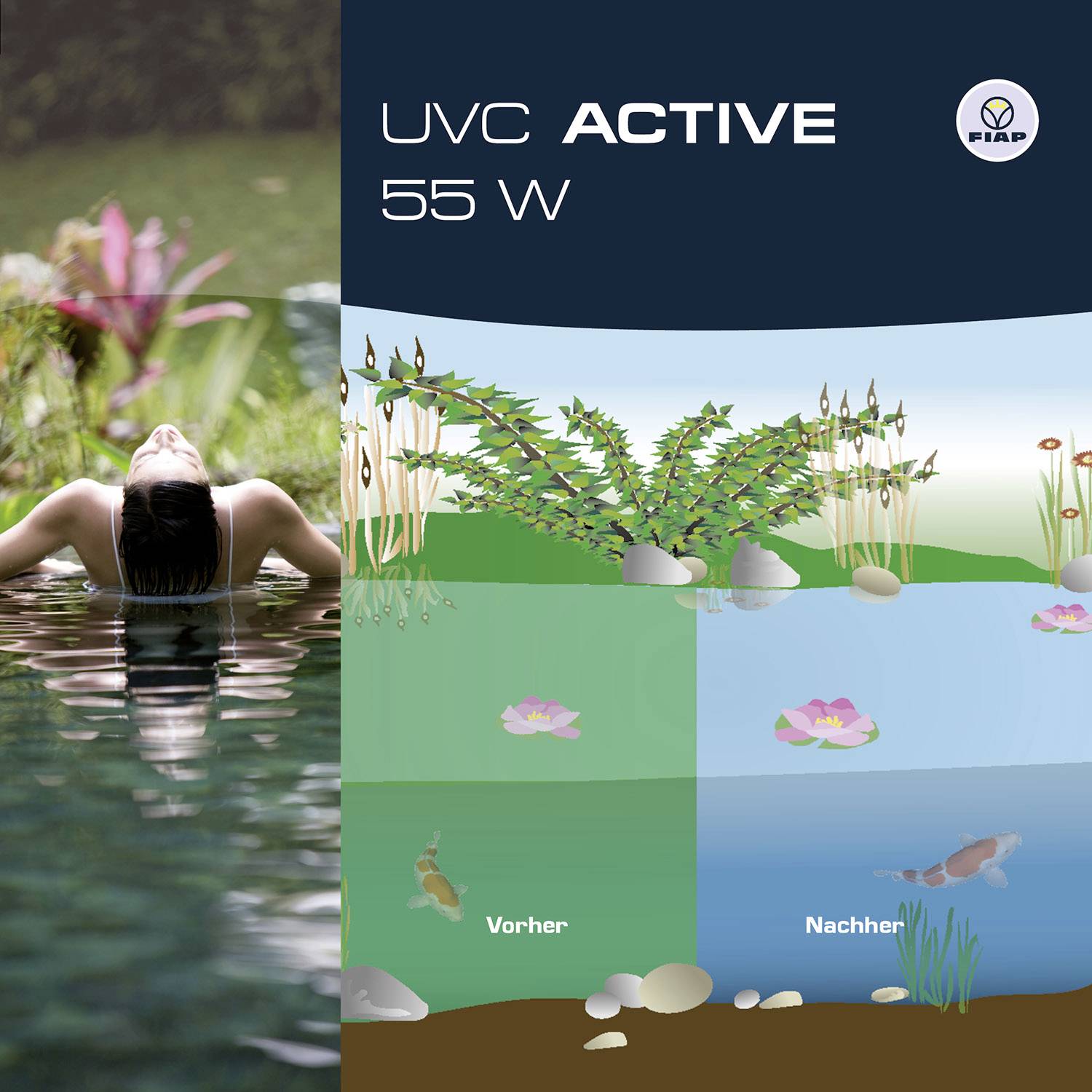 Links is een vrouw in het water te zien. Rechts toont een illustratie de werking van 'UVC ACTIVE 55 W' op water met en zonder algen.
