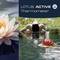Een zwemmer in het water naast een drijvend thermometer met een lotusbloem. Tekst op afbeelding: 'LOTUS ACTIVE Thermometer'.
