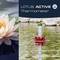 Bloemthermometer-lotusbloem in water toont temperatuur. Links een echte lotusbloem; rechts een thermometer met schaal van 0-50°C, gemarkeerd met een rode drijver.