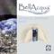 Een grafiek toont de tekst 'BellAcqua Mystic Spring 600' naast een afbeelding van een blauwe waterpomp, ingebed in een steen.
