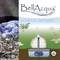 'BellAqua Mystic Spring 60%' staat bovenaan. Daaronder zijn een waterdispenser en stenen afgebeeld. Links is water op kiezels te zien.
