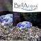 IJsblokken op een oppervlak met het opschrift 'BellAcqua Mystic Spring 600'.