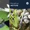 'PondCut ACTIVE' advertisement shows natural stones, water plants, and a frog in a pond, with a pond tool on the right side of the image.
