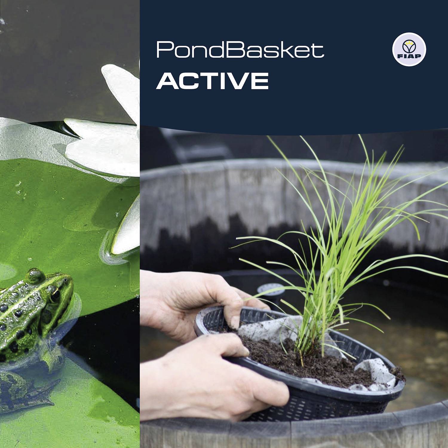 'PondBasket ACTIVE' toont twee beelden naast elkaar: links een kikker in het water, rechts twee handen die een pol gras in een plantenmandje vasthouden.
