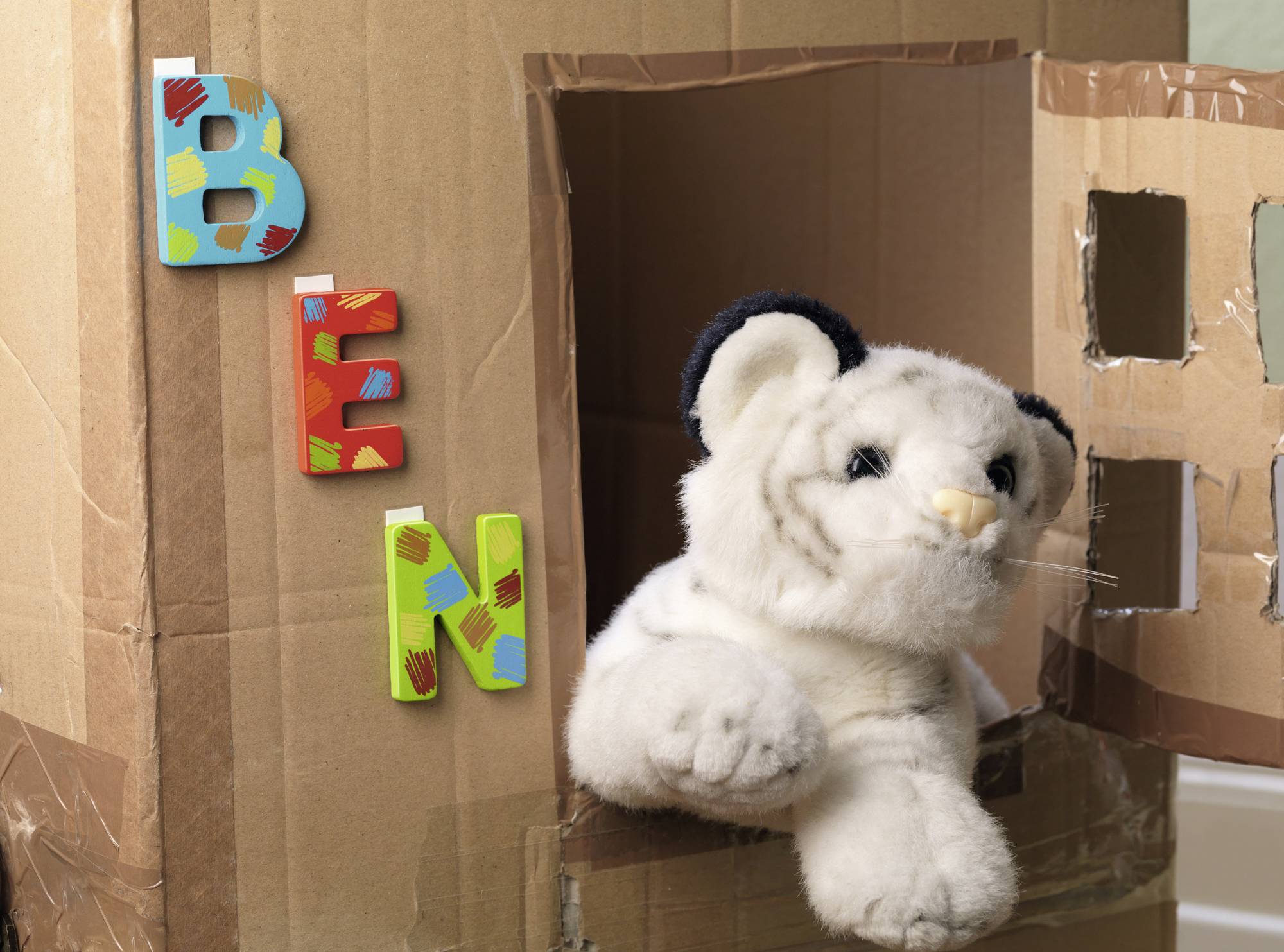 Een wit pluche tijgerwelpje kijkt uit een rechthoekig gat in een kartonnen doos. Ernaast staan kleurrijke letters die 'BEN' spellen.
