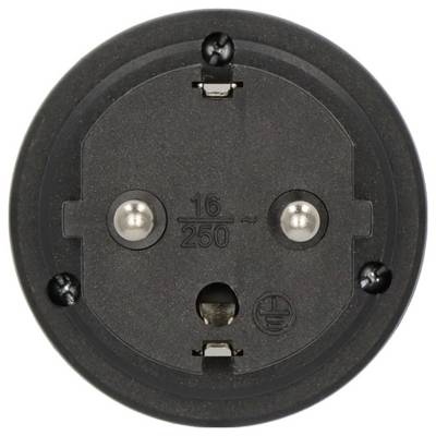 Close-up van een ronde zwarte elektrische stekker met twee metalen pennen en '16/250' aanduidingen.