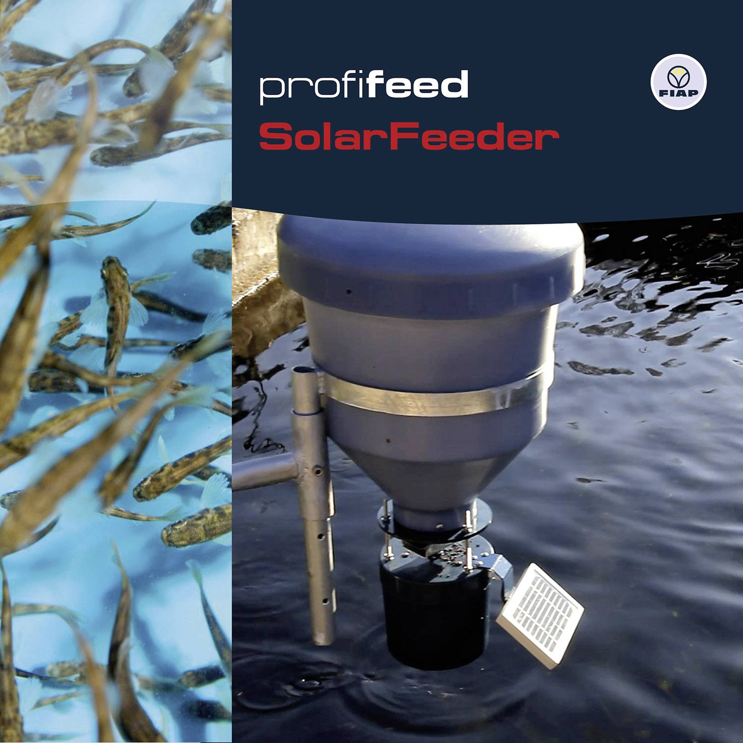 Visvoerachtige voederdispenser boven een vijver met zwemmende vissen. Links zijn verschillende vissen in het water zichtbaar. Rechtsboven staat 'profeefeed SolarFeeder'.