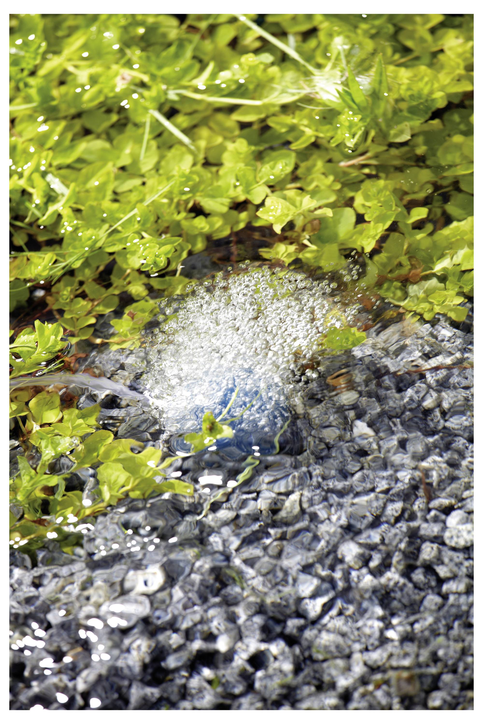 Een kleine waterfontein die bruist tussen groene planten en grind, en een rustgevende tuinscène creëert.