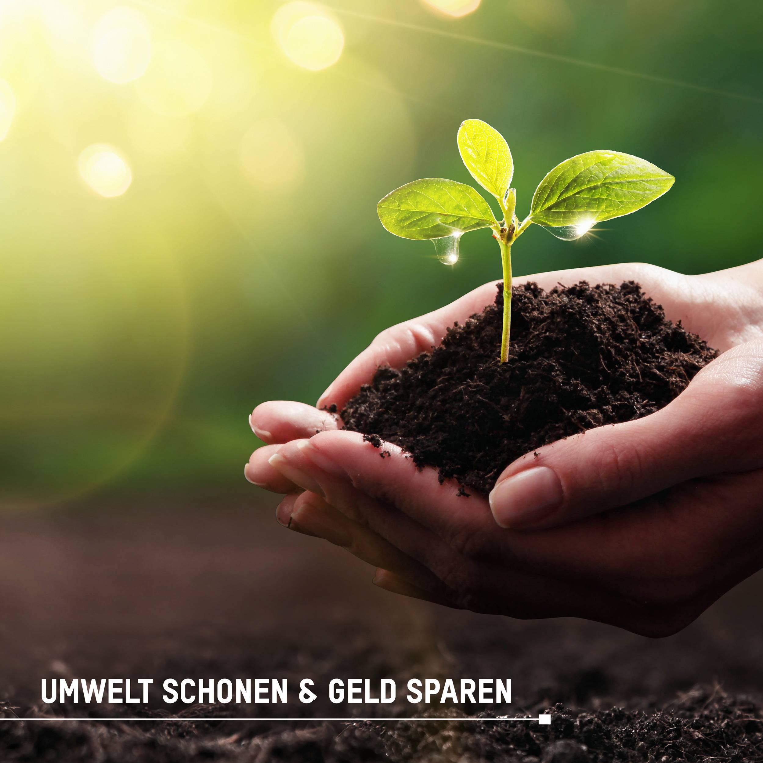 Een tere plant ontkiemt uit de aarde, vastgehouden door twee handen in een donkere omgeving. Tekst 'MILIEU BESCHERMEN & GELD BESPAREN'.