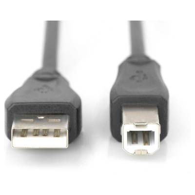 Twee USB-kabelstekkers in verschillende vormen: links een rechthoekige USB-A-aansluiting, rechts een vierkante USB-B-aansluiting.
