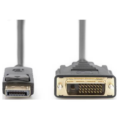 Twee kabelaansluitingen naast elkaar: links een DisplayPort-stekker, rechts een DVI-stekker. Beide zwart met goudkleurige contacten.