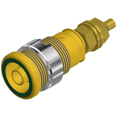 Een geel, cilindrisch machinedeel met metalen schroefdraad en groene afdichtingsrubber, vaak gebruikt in hydraulische systemen.