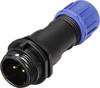 Weipu SP1311 / P 2 I Ronde connector Stekker, recht Totaal aantal polen: 2 Serie (ronde connectoren): SP13 1 stuk(s)