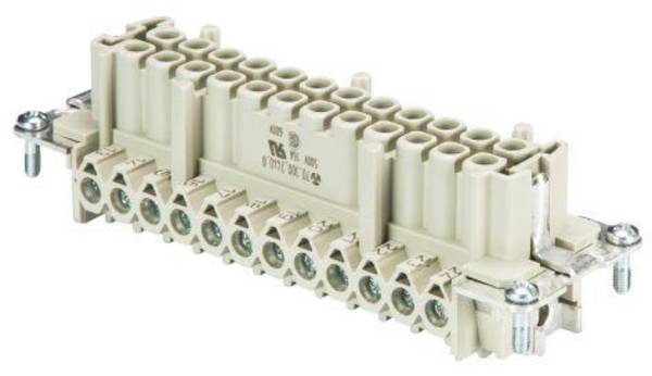 Wieland Electric 70.300.2440.0 Businzetstuk BAS Totaal aantal polen 24 + PE 1 stuk(s)