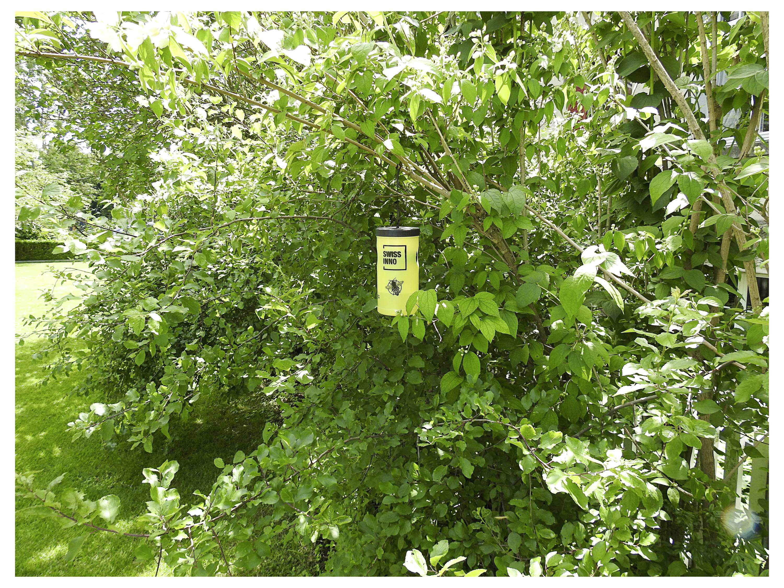 Een gele container met 'Wespenlokmiddel' hangt midden in dichte groene bladeren, dienend als wespenval in een tuinomgeving.
