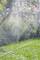 Een tuin met kleurrijke bloemen op de achtergrond wordt besproeid door een sproeier, die een waas vormt boven het weelderige groene gras.