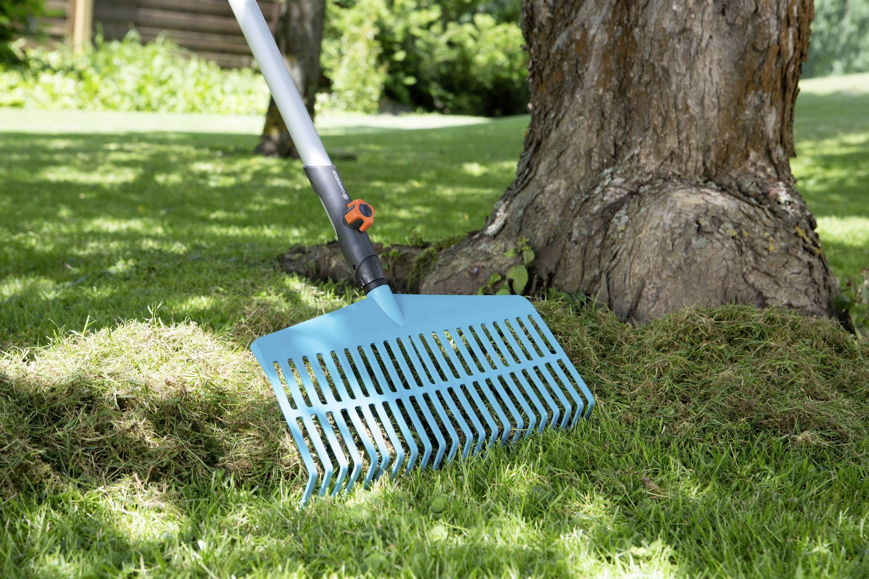 Een blauwe plastic hark leunt tegen een boomstam op een grasveld. Op de achtergrond is een tuin zichtbaar.