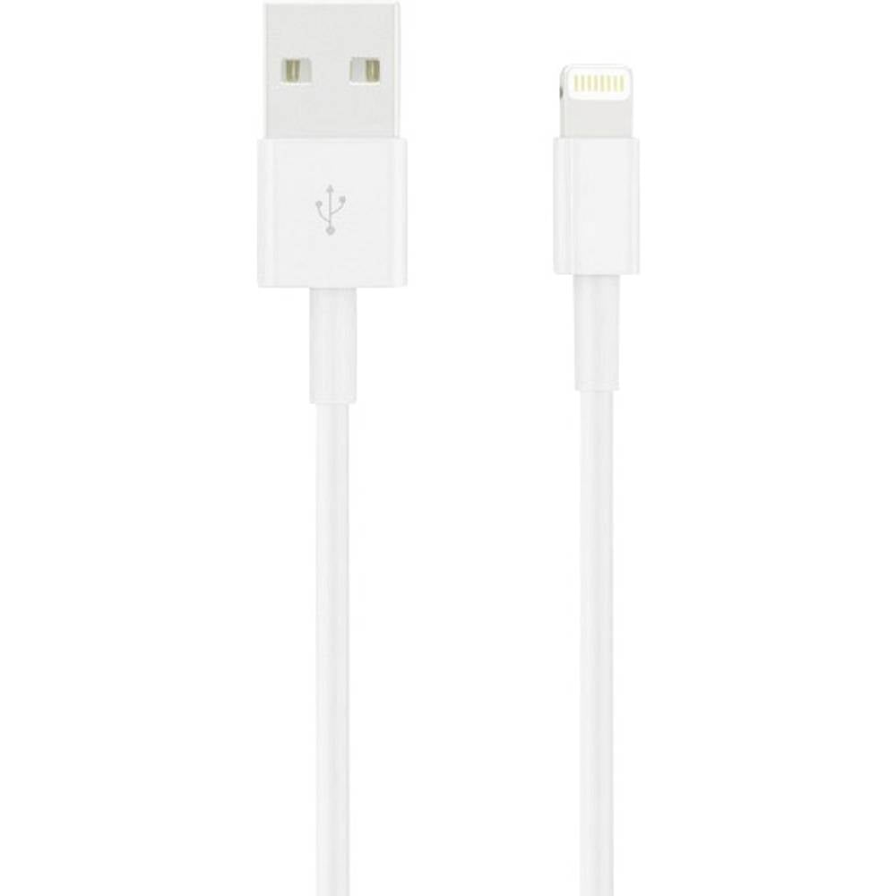 Apple iPad-iPhone-iPod Datakabel-Laadkabel [1x Apple dock-stekker Lightning 1x USB 2.0 stekker A]