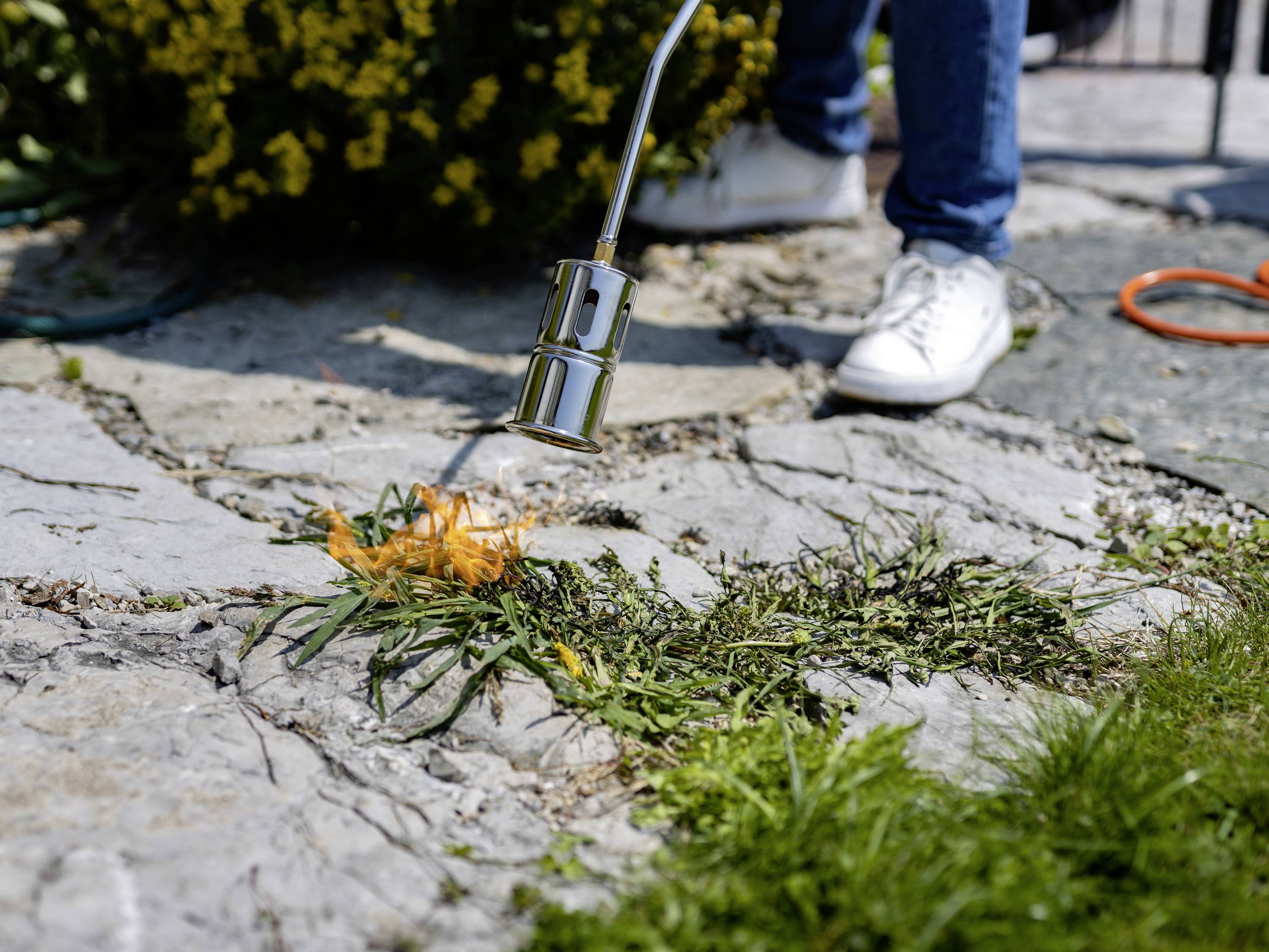Een persoon verwijdert onkruid met een vlammenwerper op een bestrate weg buiten om de tuin netjes te houden.