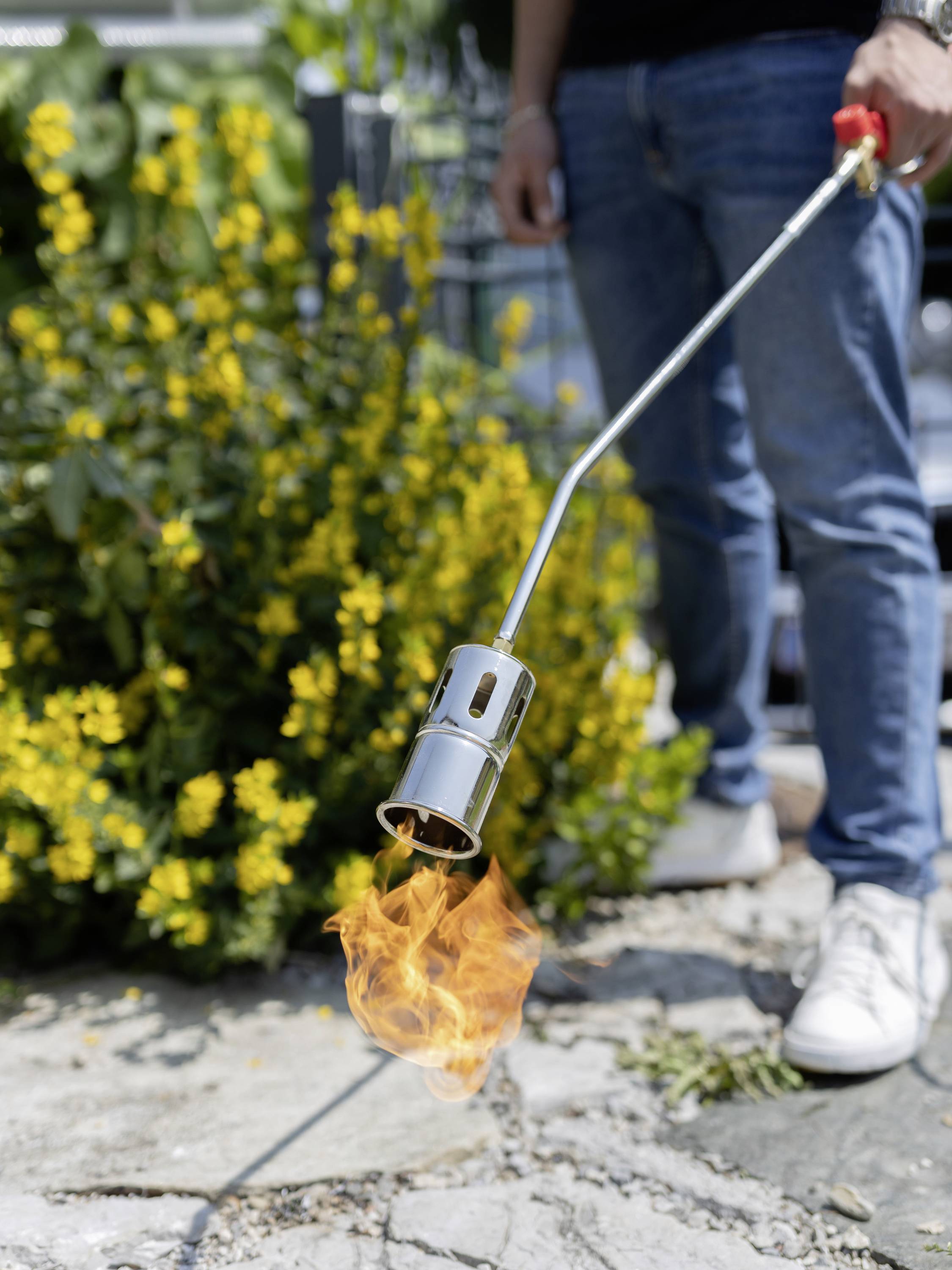 Een persoon houdt een onkruidbrander met een vlam boven stenen tegels in de tuin. De achtergrond toont gele bloemen en groene bladeren.