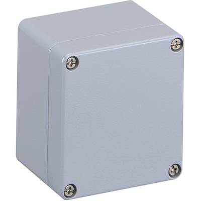 Grijs-grijze metalen behuizing met vier schroeven in de hoeken, gebruikt voor de veilige opberging van elektrische componenten.