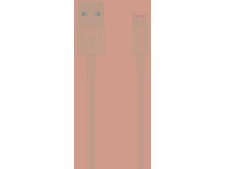 Apple iPad-iPhone-iPod Datakabel-Laadkabel [1x Apple dock-stekker Lightning 1x USB 2.0 stekker A] 2 
