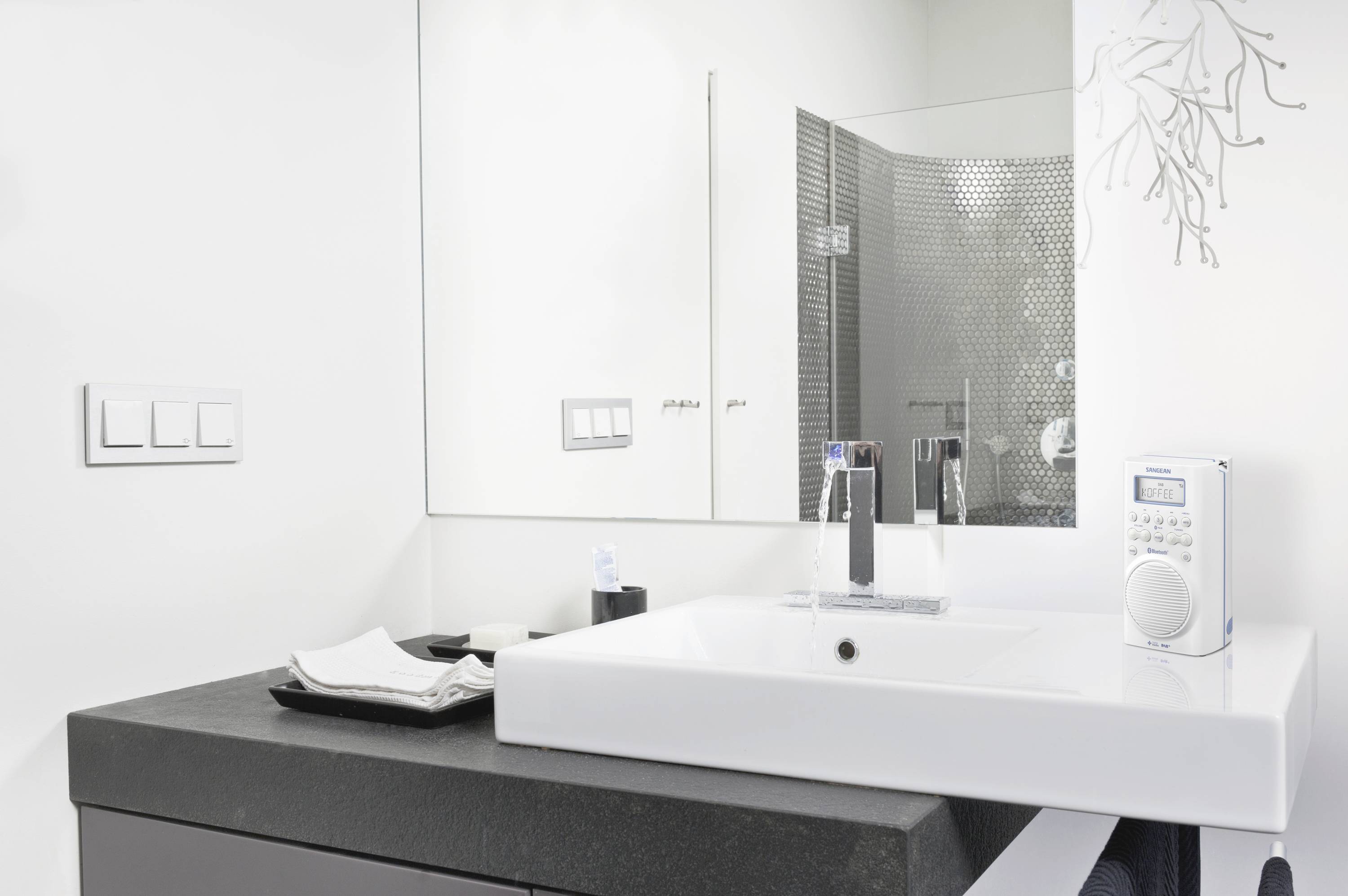 Een modern badkamer met een wit wastafel, grote spiegel, zwart aanrechtblad en een kleine radio.