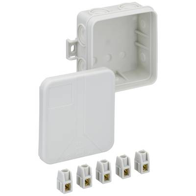 Witte kunststof aftakdoos met afneembaar deksel en vijf aansluitklemmen. Geschikt voor elektrische installaties, toont behuizing en toebehoren.