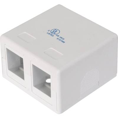 Dubbele RJ45-inbouwdoos-adapter, wit, met twee Ethernet-aansluitingen. Geschikt voor netwerkverbindingen in kantooromgevingen.