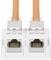 Twee oranje Ethernet-kabels zijn aangesloten op een witte dubbele netwerkaansluiting, geschikt voor CAT-6A-netwerken.