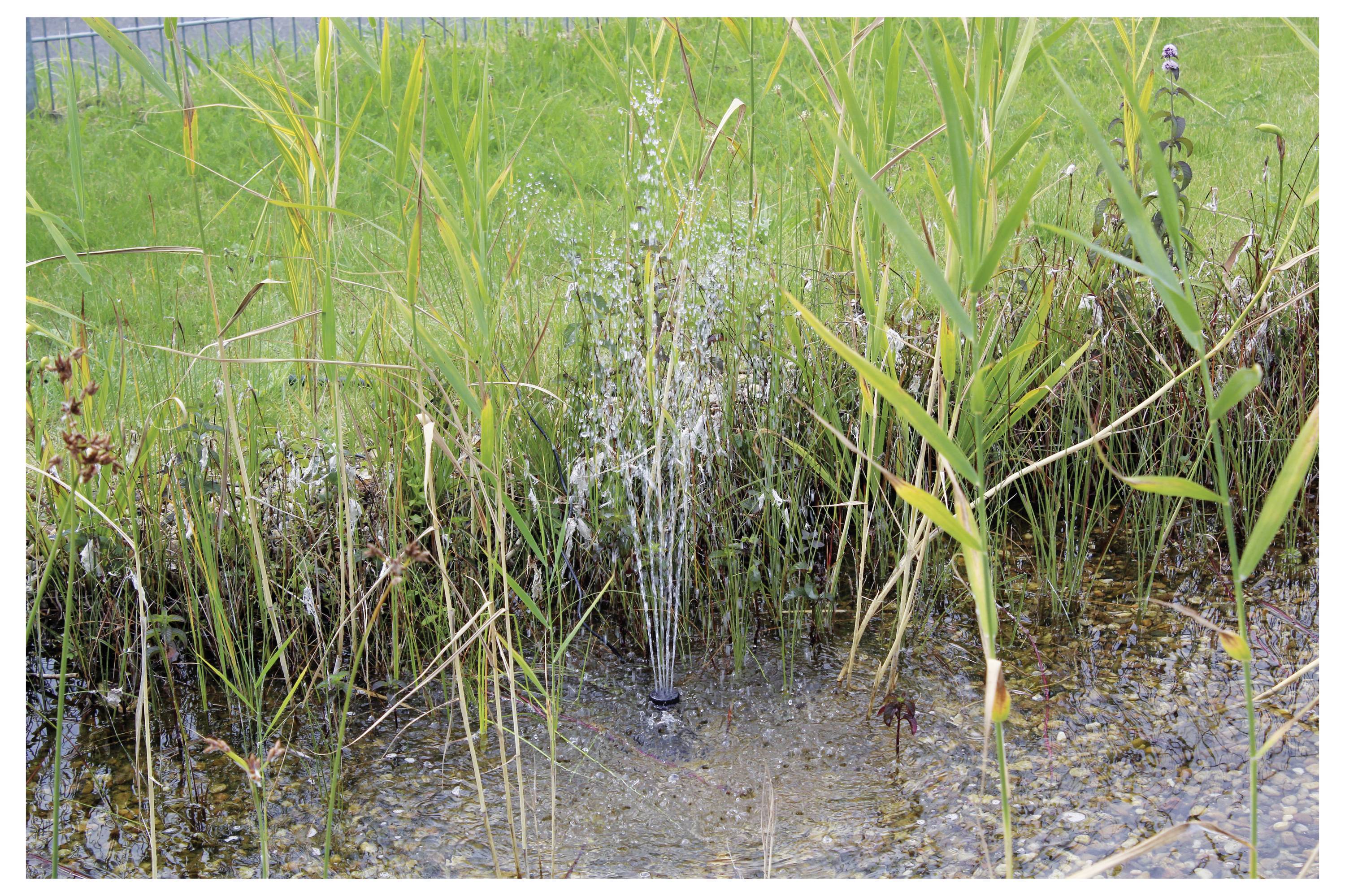 Een kleine waterfonteinen omringd door hoge grassen en planten in een ondiepe vijver met kiezels. Groen gras is zichtbaar op de achtergrond.