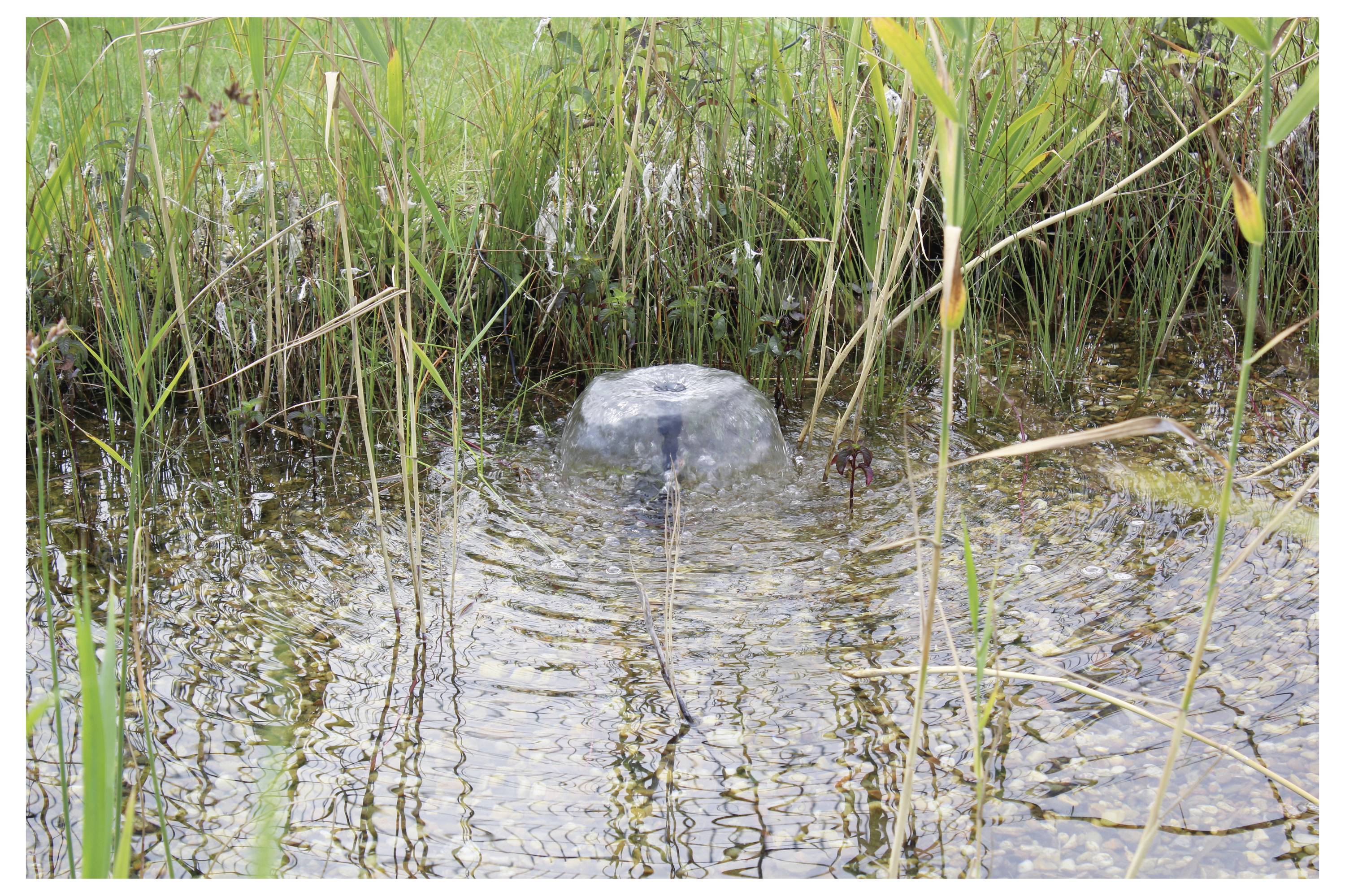 'Een kleine waterfonteinen in een vijver omringd door hoog gras en planten schudt het wateroppervlak, waarbij er rimpelingen ontstaan op een rustige dag.'