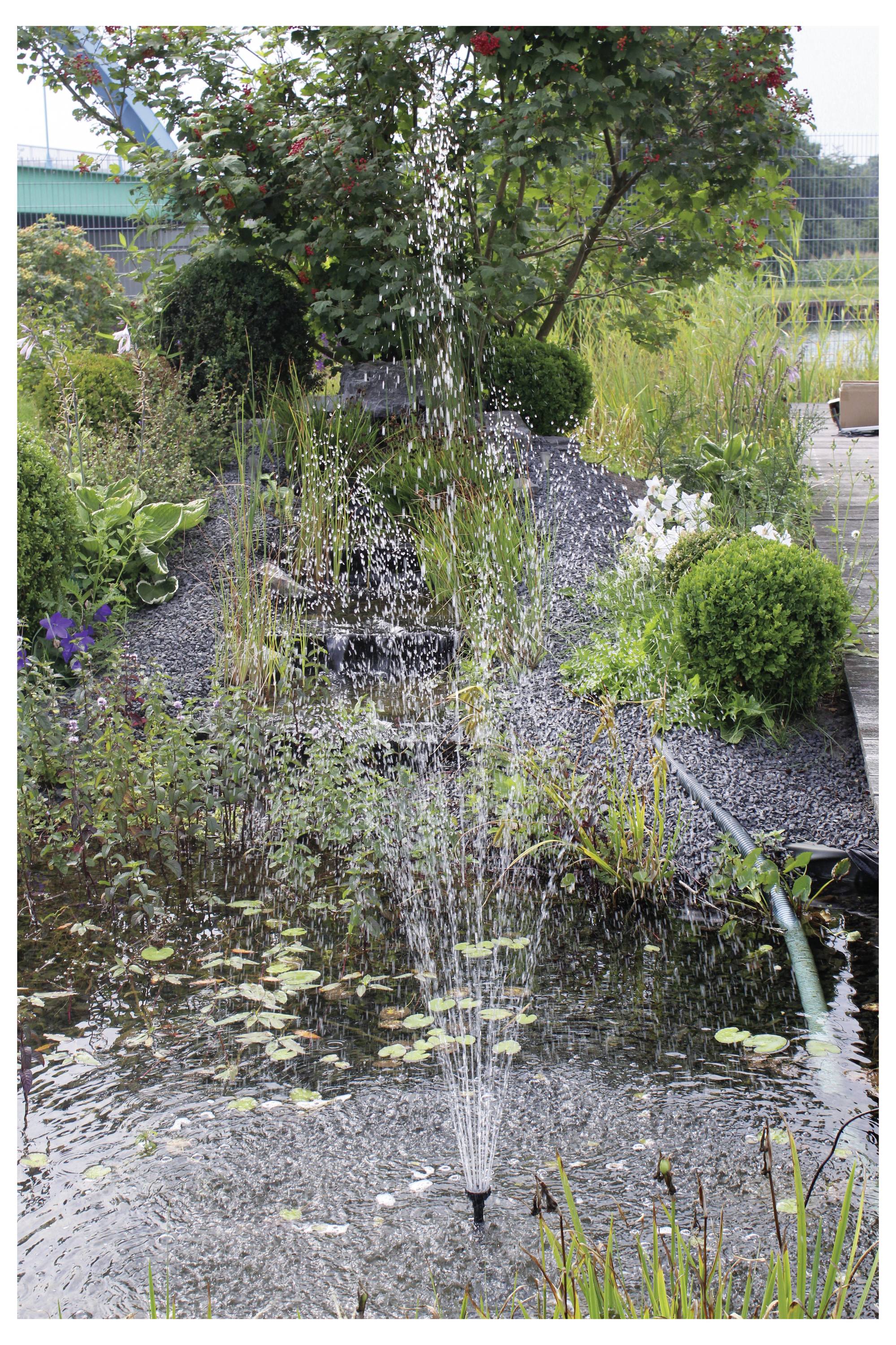 Een kleine fontein spuit water in het midden van een tuinvijver, omringd door weelderig groen en verschillende bloeiende planten.