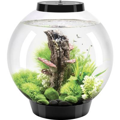 Een rond aquarium met kunstmatige planten, schimmelachtige structuren en een gestructureerd middelpunt, zonder vissen of zichtbare bewoners.