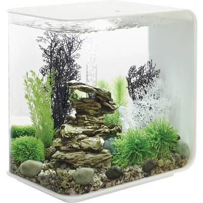 Een kleine, decoratieve aquarium met groene planten, zwarte en witte koralen, en rotsen gerangschikt binnenin.