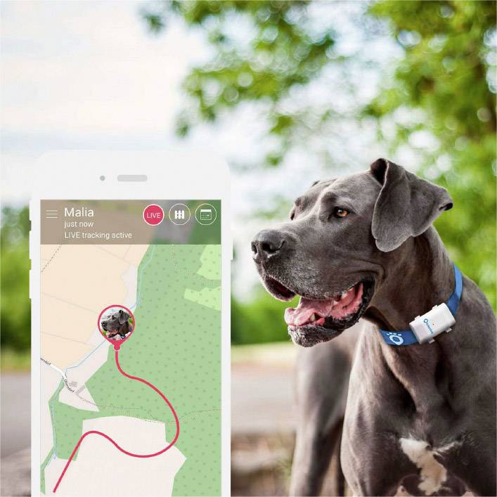 tractive GPS XL GPStracker Huisdiertracker Wit Conrad.be