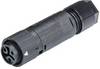 Wieland Electric 46.031.4553.1 Ronde connector Koppeling, recht Totaal aantal polen: 2 + PE Serie (ronde connectoren): RST® MINI 1 stuk(s)