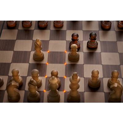 een pantoffel Gevestigde theorie Millennium Chess Genius Exclusive Schaakcomputer kopen ? Conrad Electronic